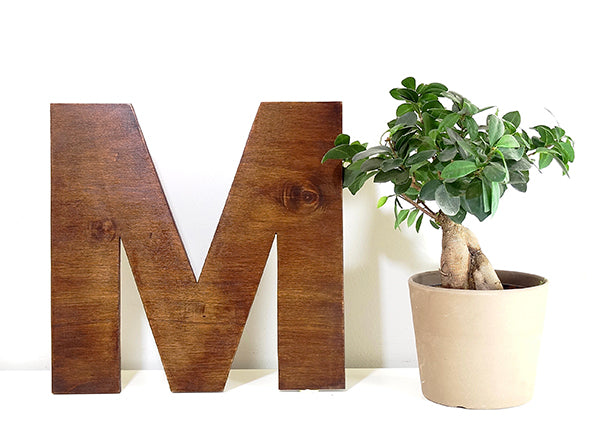 Grandes lettres en bois